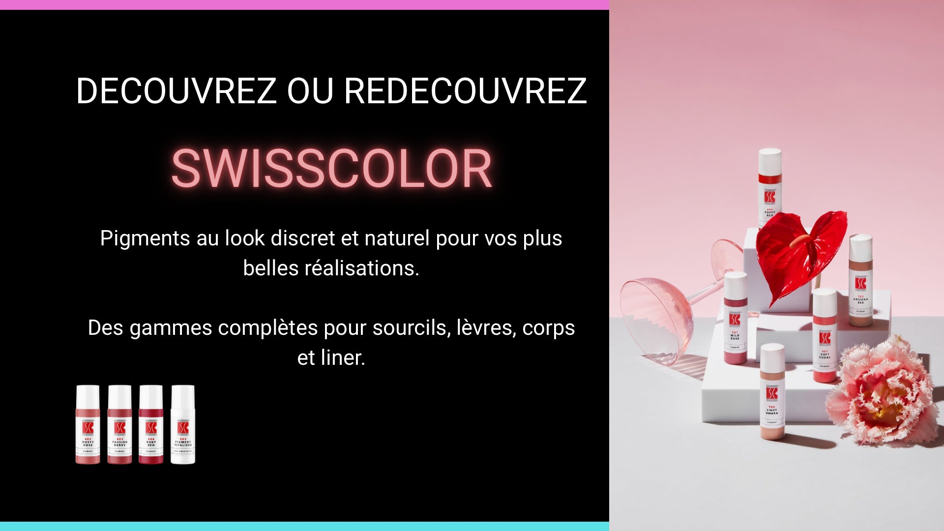 Pigments SWISSCOLOR France